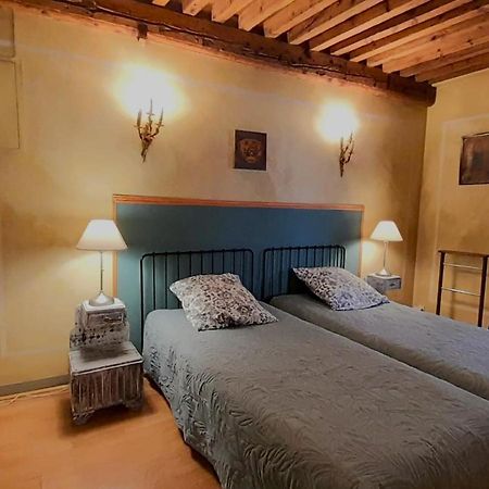 Vieux-Lyon - Maison Renaissance Extérieur photo